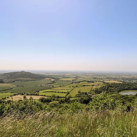 Semesterbostad Elm Tree *