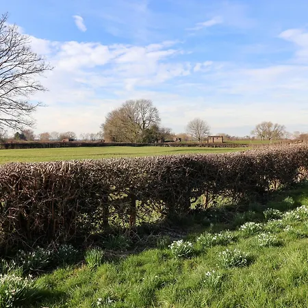 Semesterbostad Elm Tree *