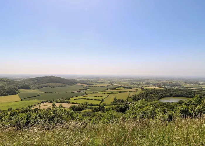 Semesterbostad Elm Tree *