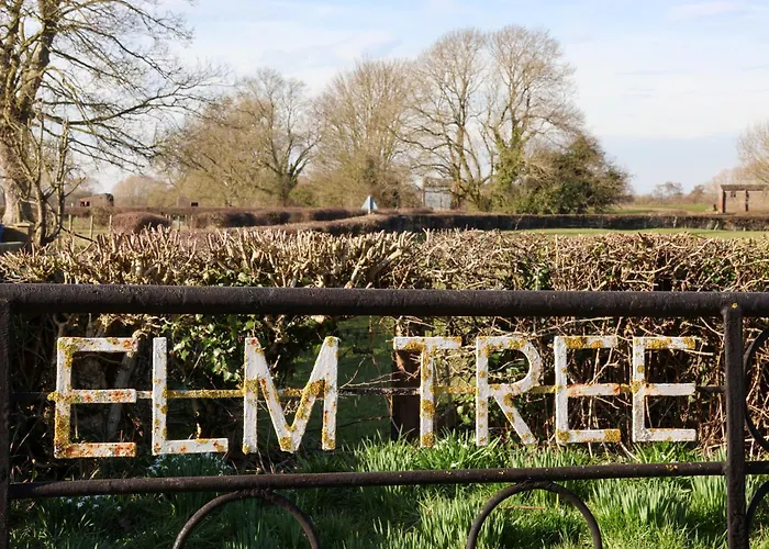 Semesterbostad Elm Tree Thirsk