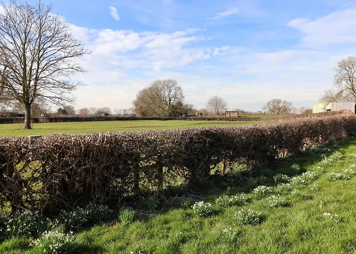Semesterbostad Elm Tree *