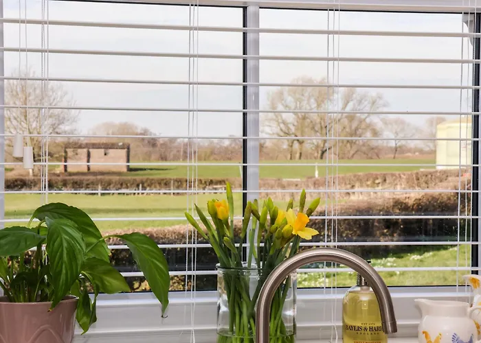 Elm Tree Semesterbostad