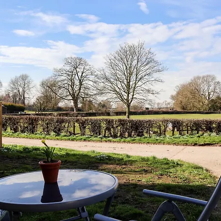 Elm Tree * 서스크