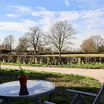 Elm Tree * Thirsk